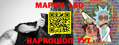 стафф Дубна