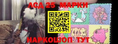 стафф Дубна
