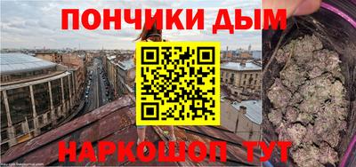 стафф Дубна