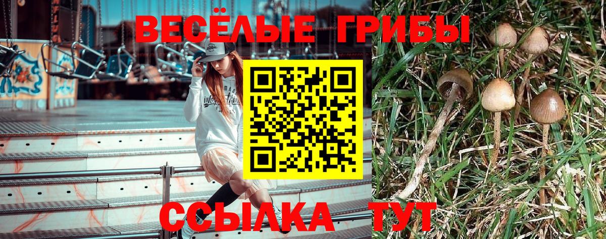 Псилоцибиновые грибы ЛСД Мурманск