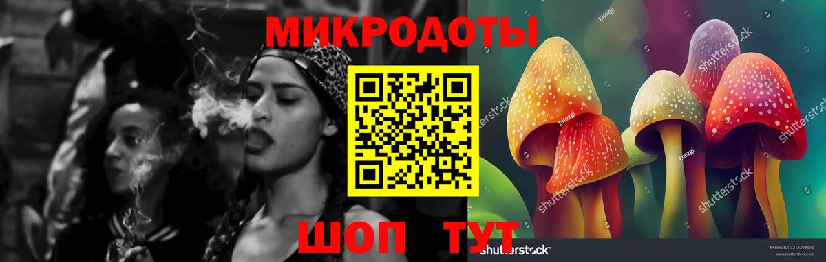 Мурманск  Псилоцибиновые грибы Psilocybe  Вход с VPN  Галлюциногенные грибы мухоморы 